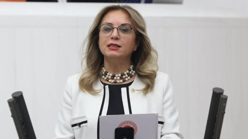 Alan Başkanlığı Sorunları Mecliste Gündeme Getirildi