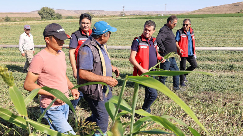Yem Bitkileri Destekleme Ödemeleri Listesi Yayınlandı