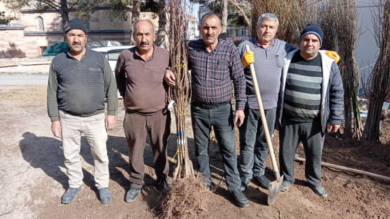 Gülşehir Ziraat Odası, Meyve Fidanı Satışlarına Başladı