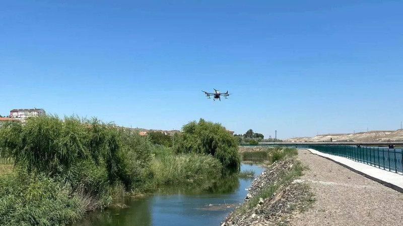 Kızılırmak Nehrinde Bataklık Alanlar Dronla İlaçlanıyor