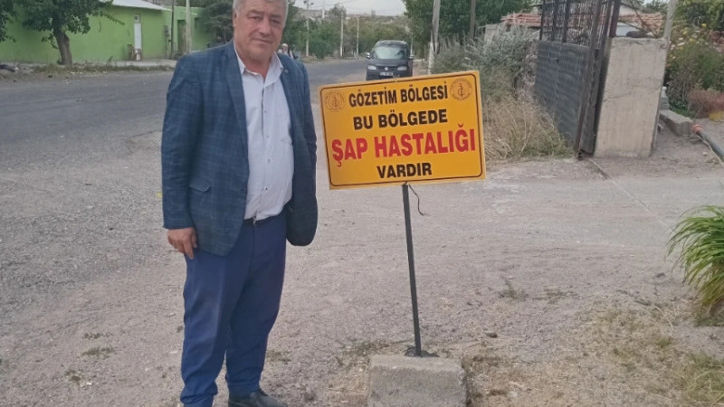 Bazı Köy ve Kasabalarda Şap Hastalığı Karantinası Başladı