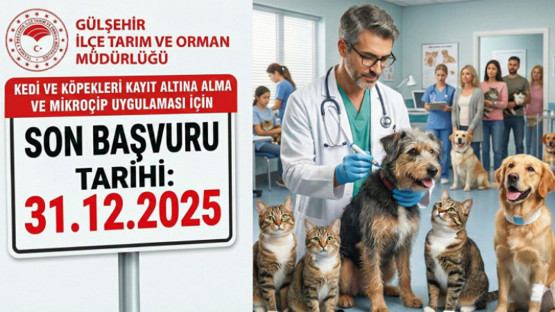 Kedi ve Köpek Sahiplerine Uyarı; Son Gün 31 Aralık 2025