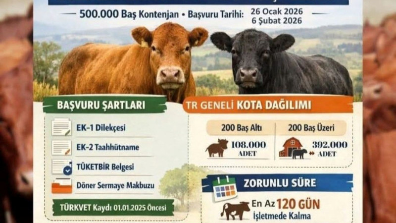 2026 Yılı Besilik Sığır İthalatı Başvuruları Başladı