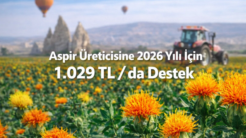 Aspir Üreticisine 2026 Yılı İçin Dekara 1.029 TL Destek