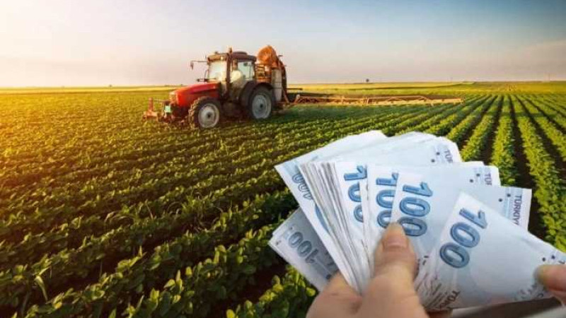 Çiftçiler Dikkat! Tarımsal Destek Listeleri Askıya Çıktı