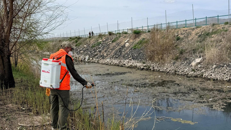 Gülşehir Sadabad Parkı’nda Biyolojik İlaçlama Yapıldı