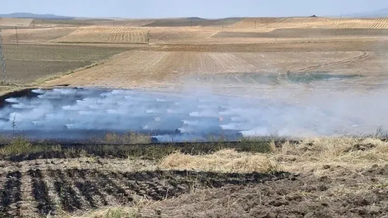 Abuşağı Köyünde Yangın: 30 Dönüm Tarla Zarar Gördü