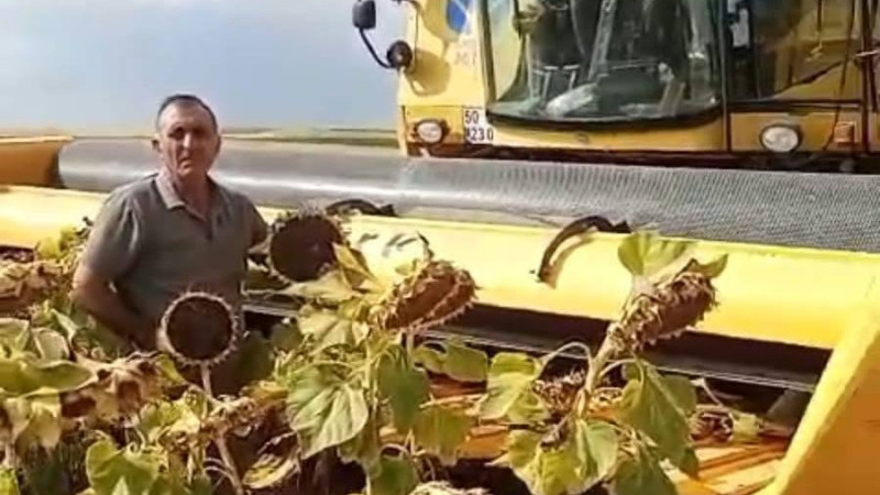 Gülşehir’deki Köylerde Ayçiçeği Hasadı Başladı